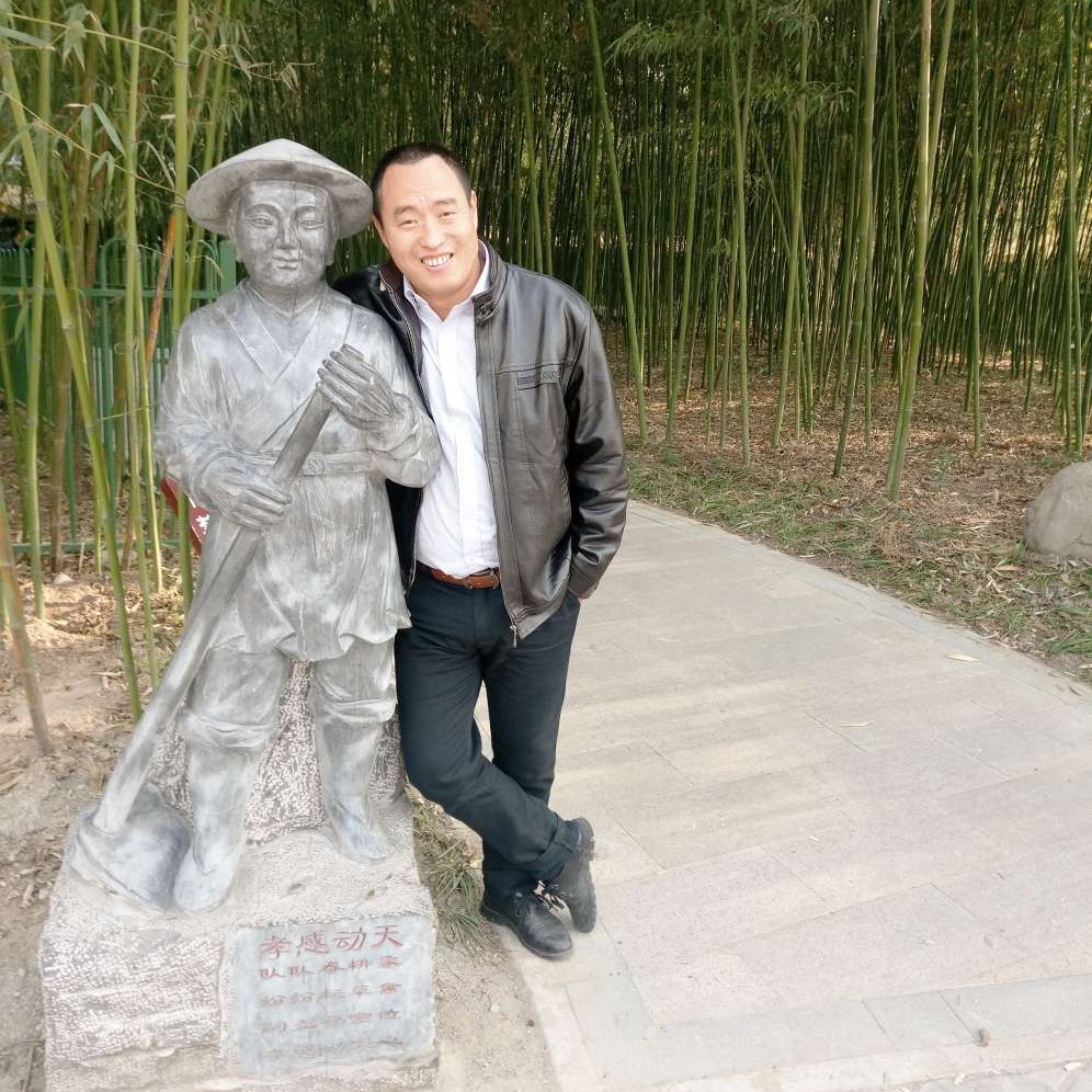 曾经挽手乌龟的照片