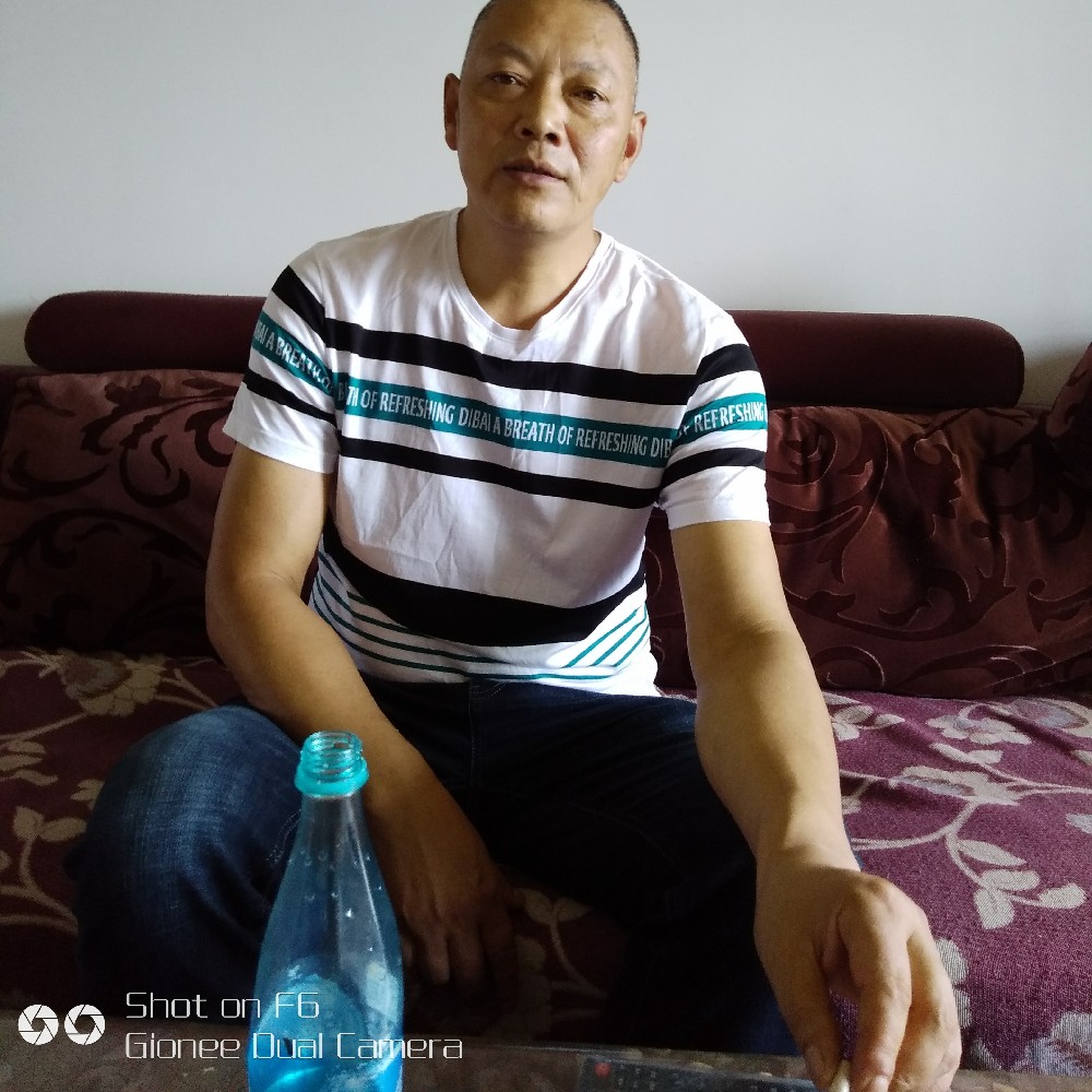 樱桃演变正直的照片