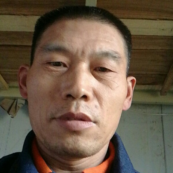 迷路尘宵的照片