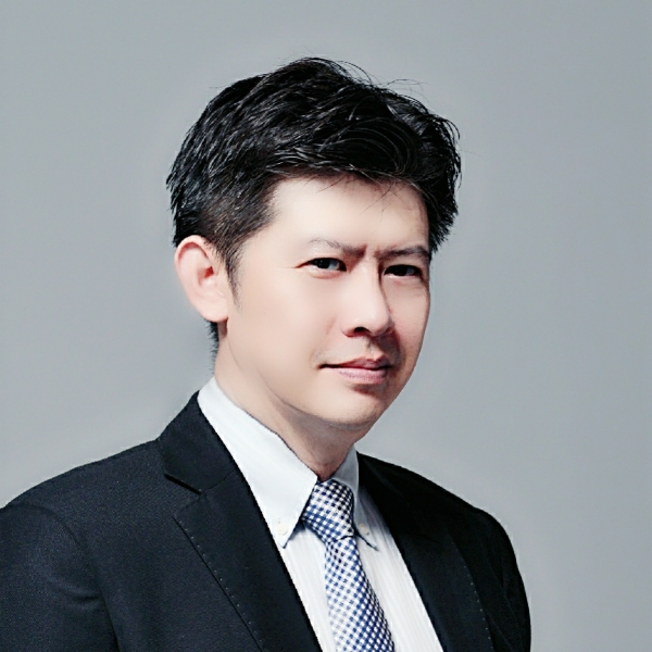 快乐的树袋熊的照片