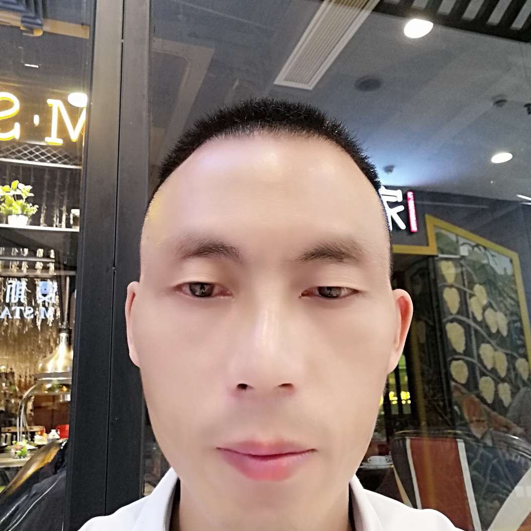 鸵鸟等待高贵的照片
