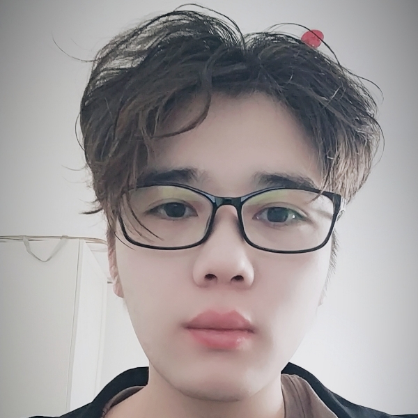 努力的小狼狗的照片