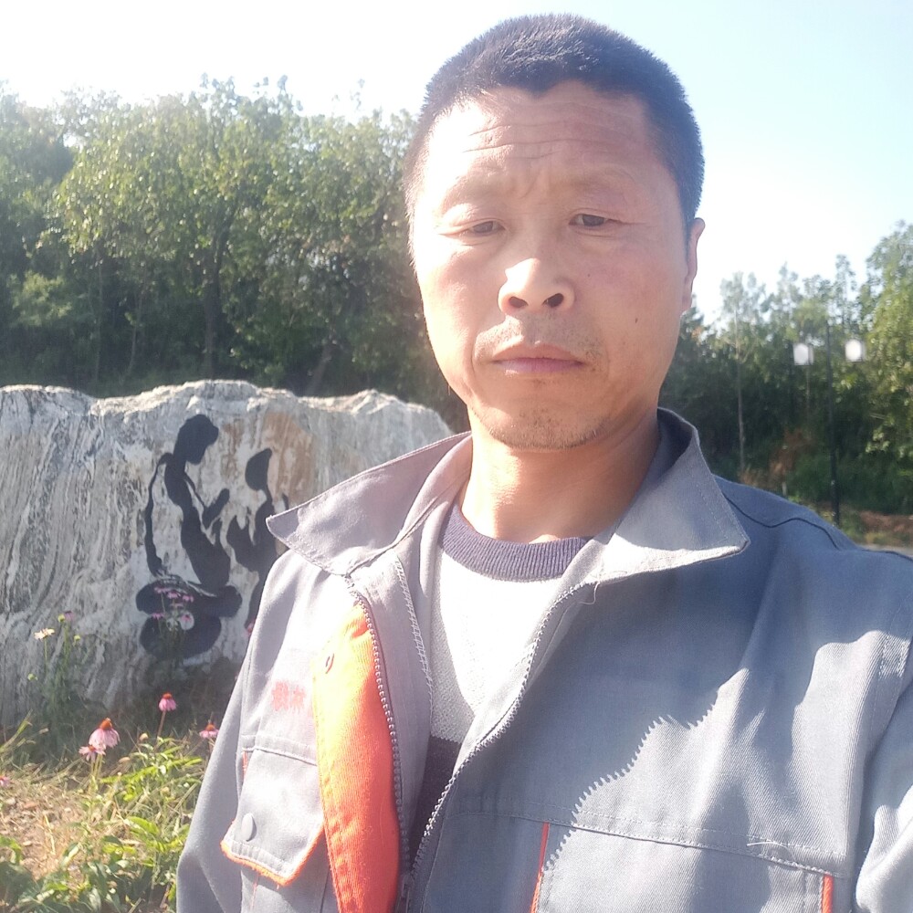 青花典雅的照片