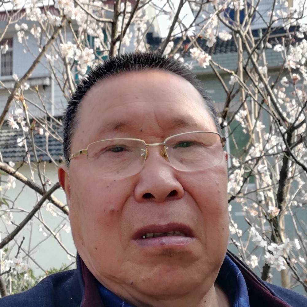 陶少云的照片