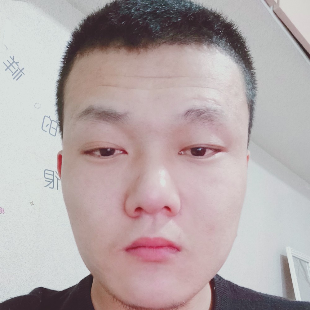 优雅停止母鸡的照片