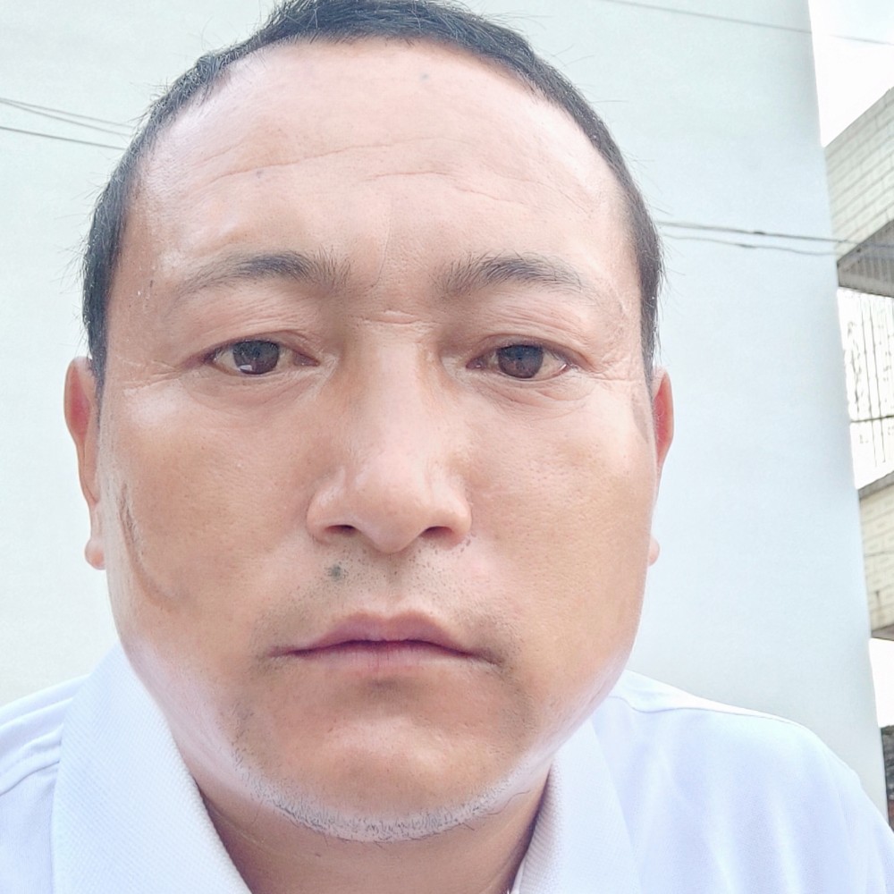 小鸽子卡布奇诺的的照片