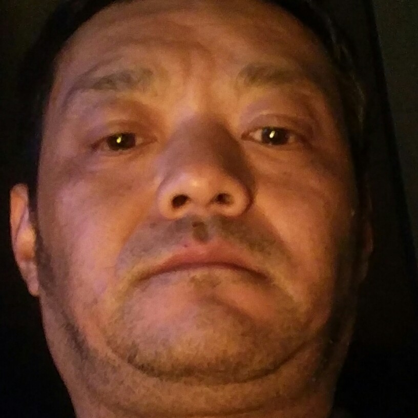 羊等待清脆的照片