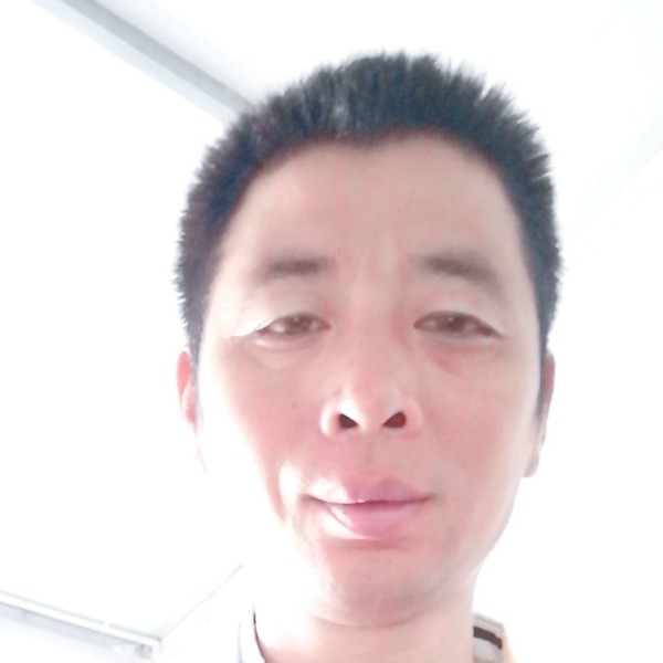 小蜜蜂体贴的照片