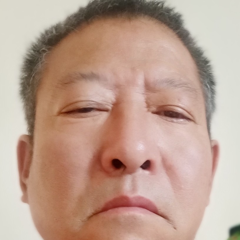 红枣配枸杞的照片