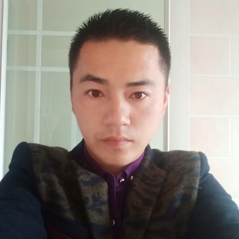 无辜仙人掌的照片