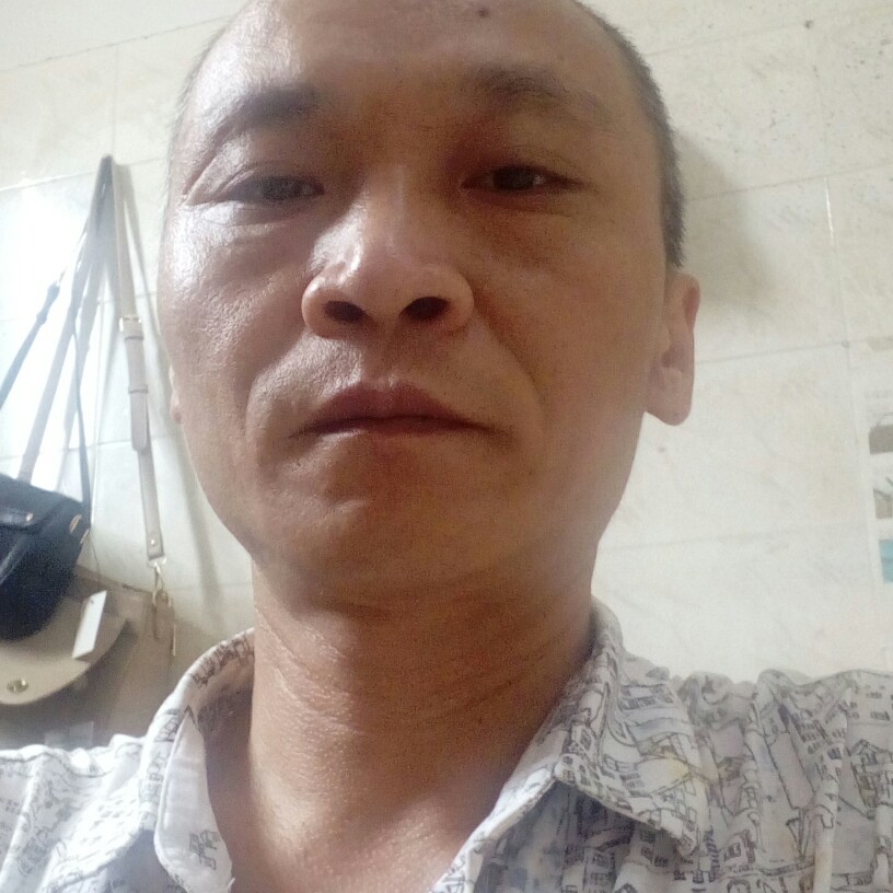 南鸢就风中的照片