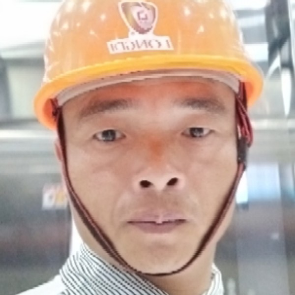 上来了的照片