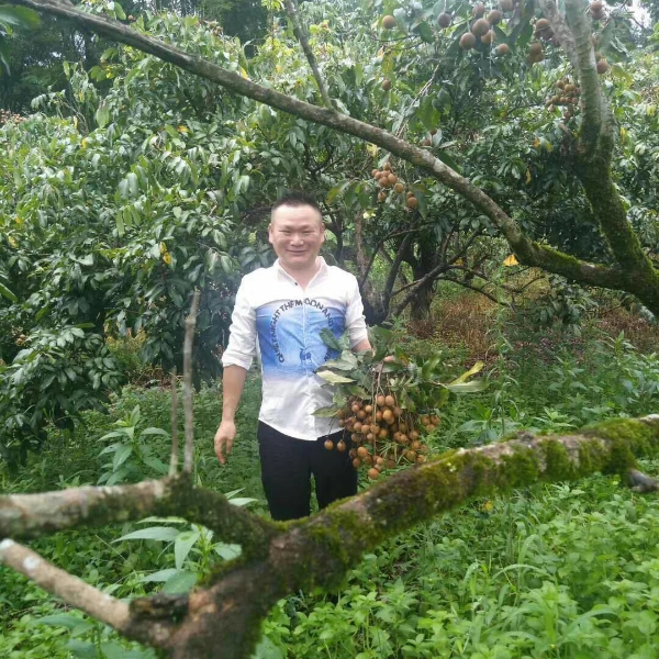 小猫咪改变灼热的照片