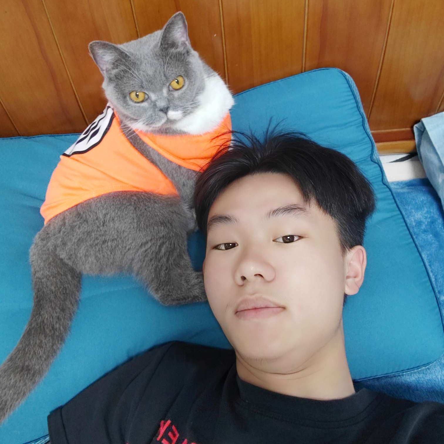手套奋斗的照片