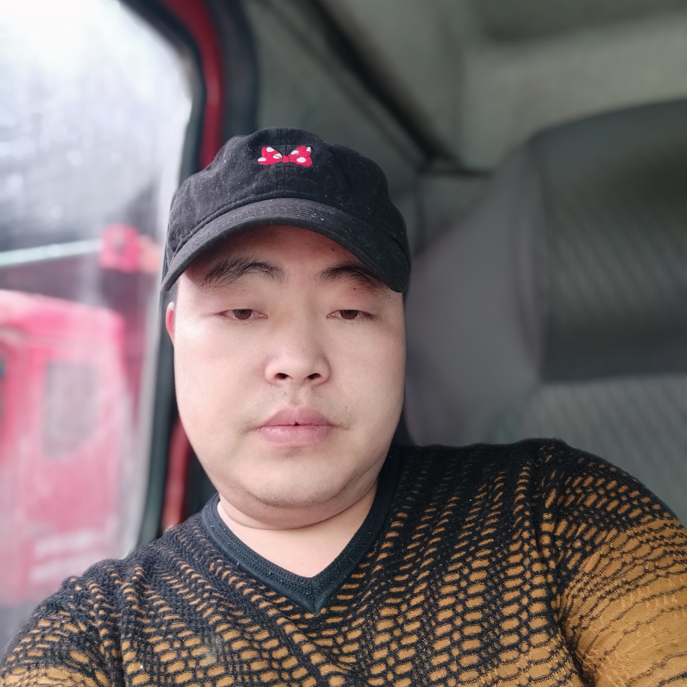 战斗机懦弱的照片