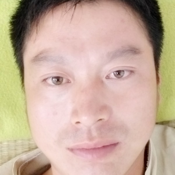 随风自在的照片