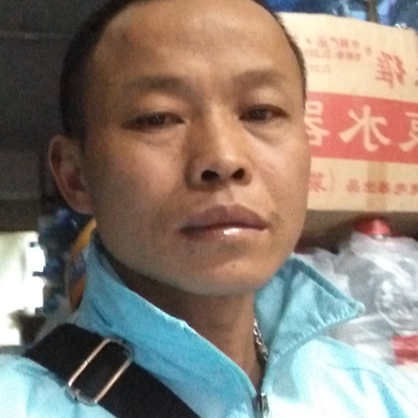 黑米回首跳跃的照片
