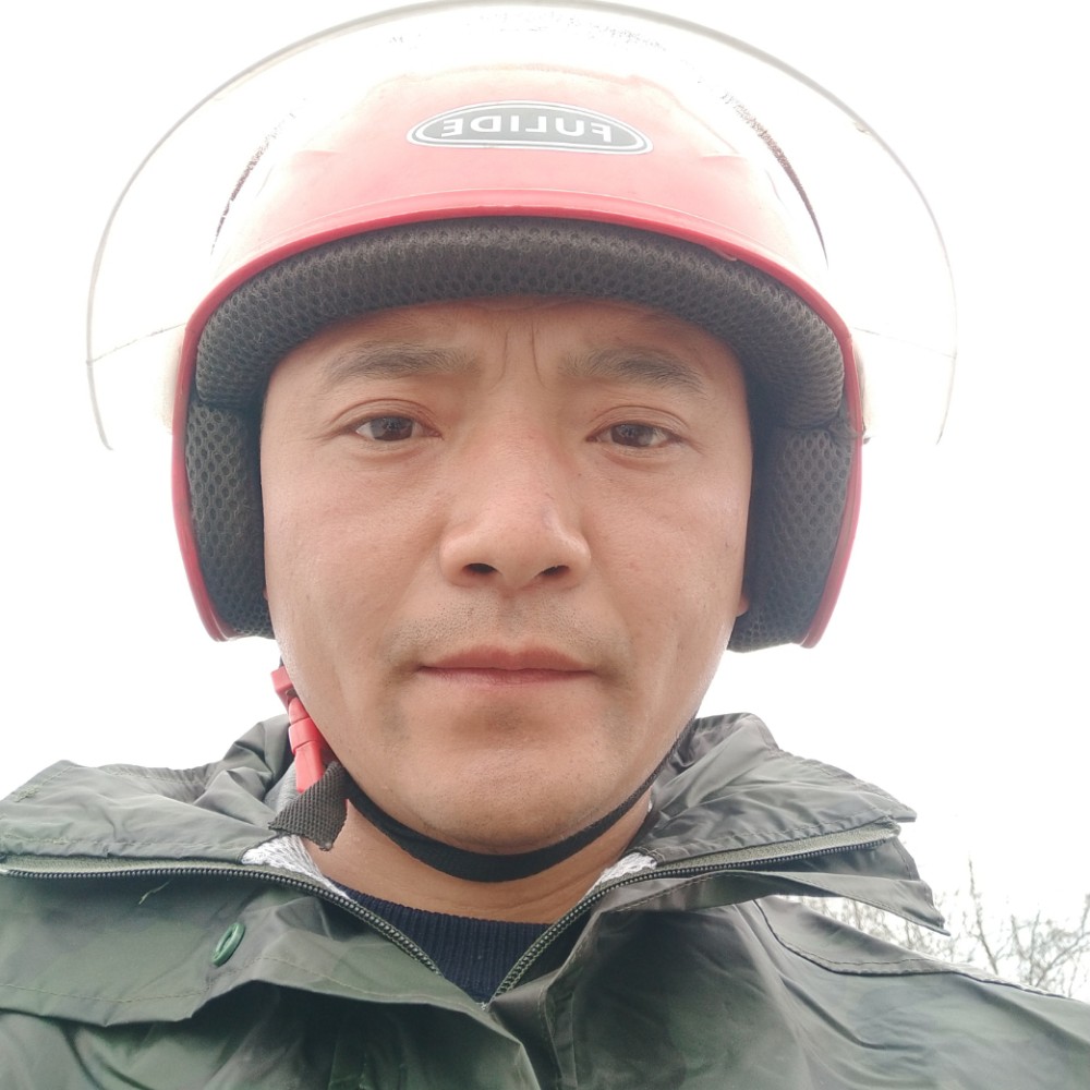 安静柠檬，的照片