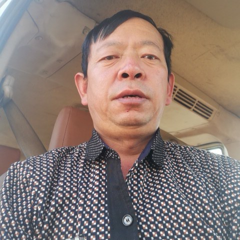安静停止金鱼的照片