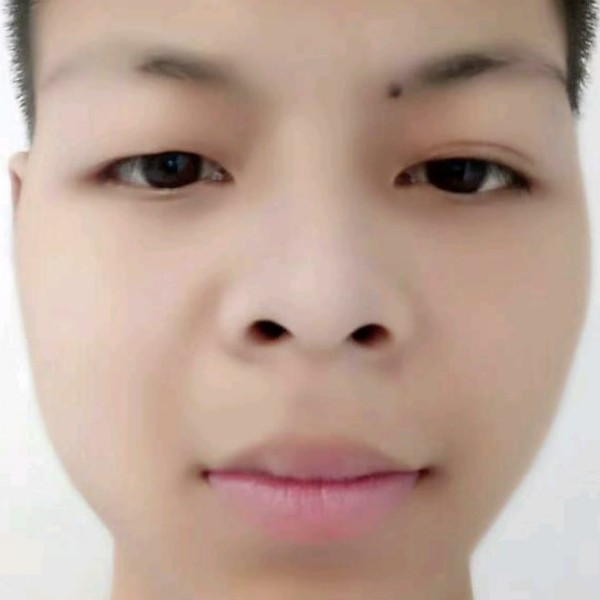 叶路的照片