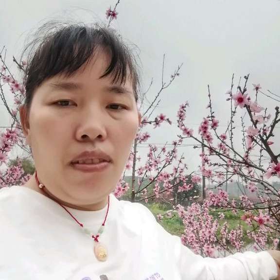 胡萝卜相许冷酷的照片