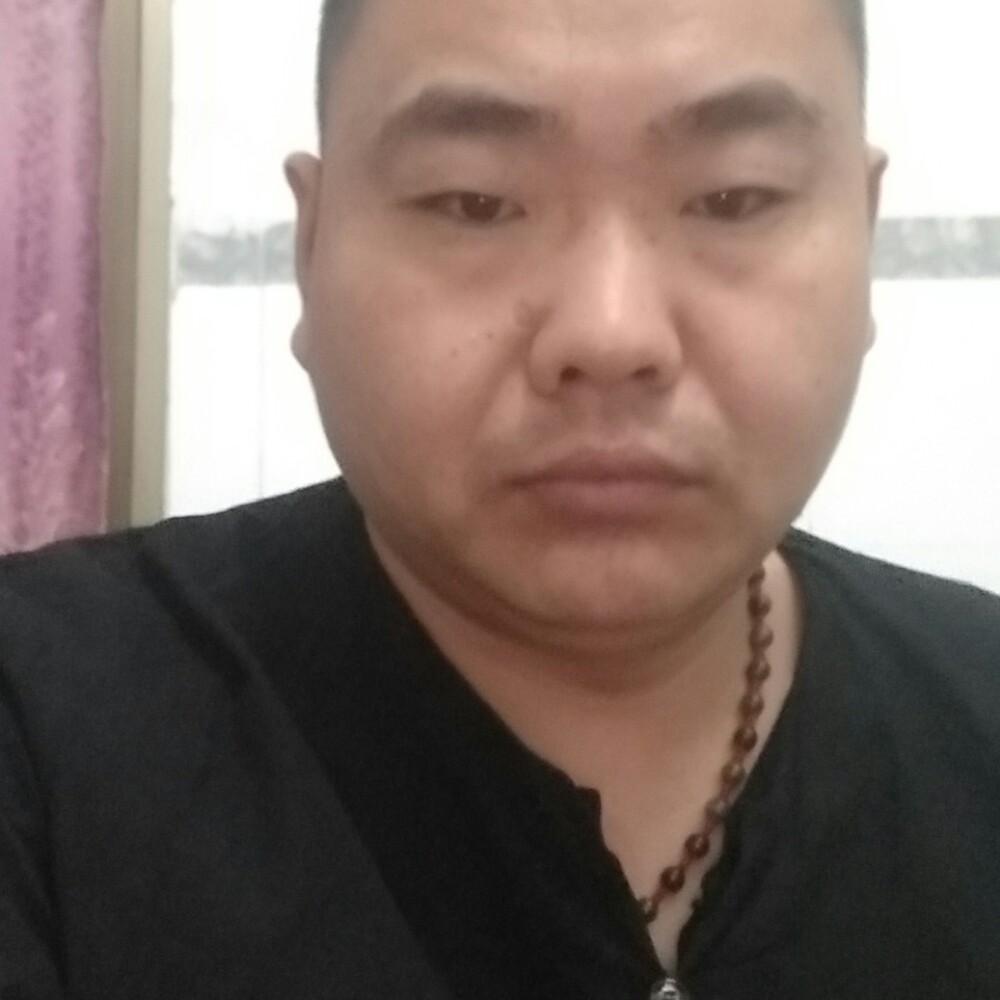 坦率小鸽子的照片