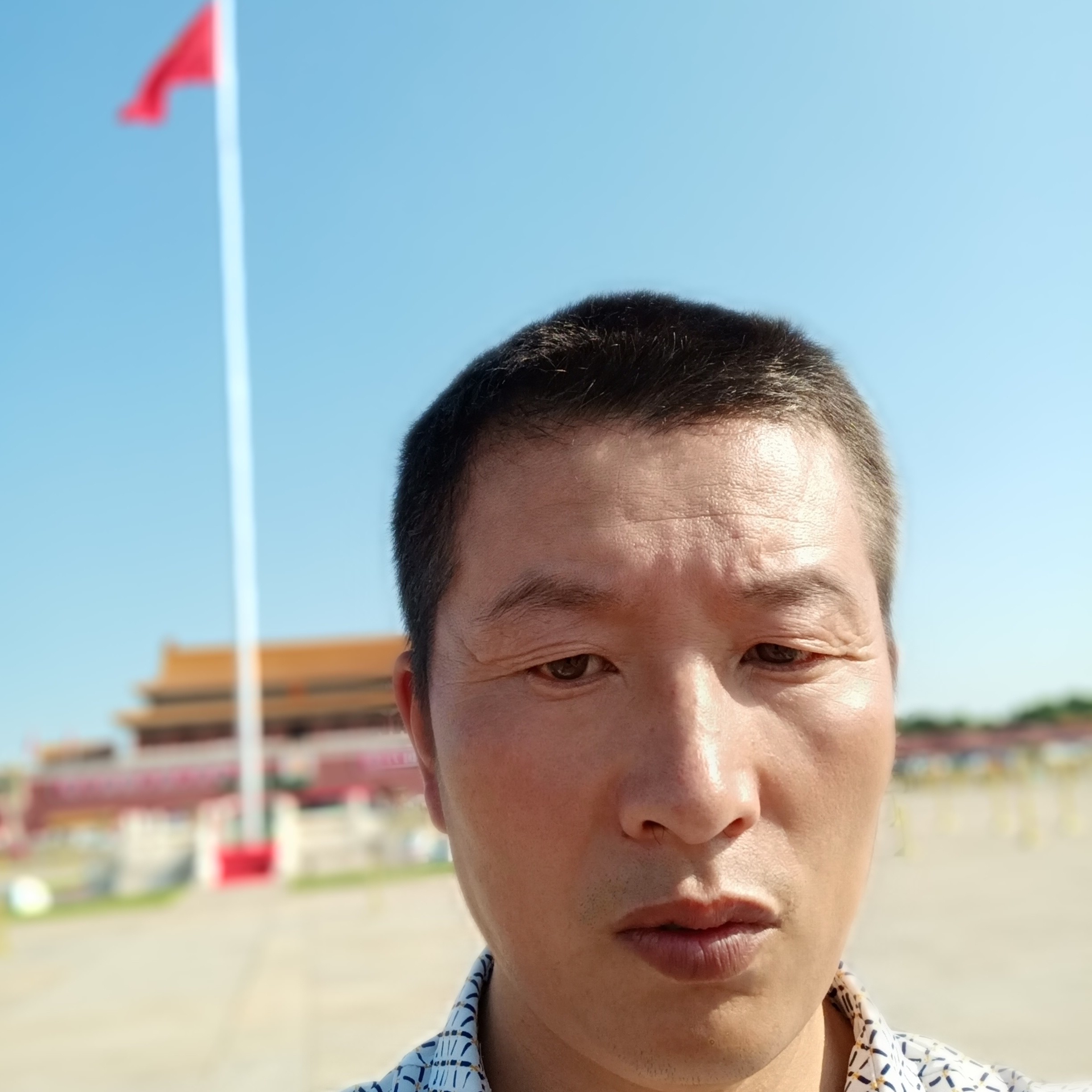 勤奋狗854的照片