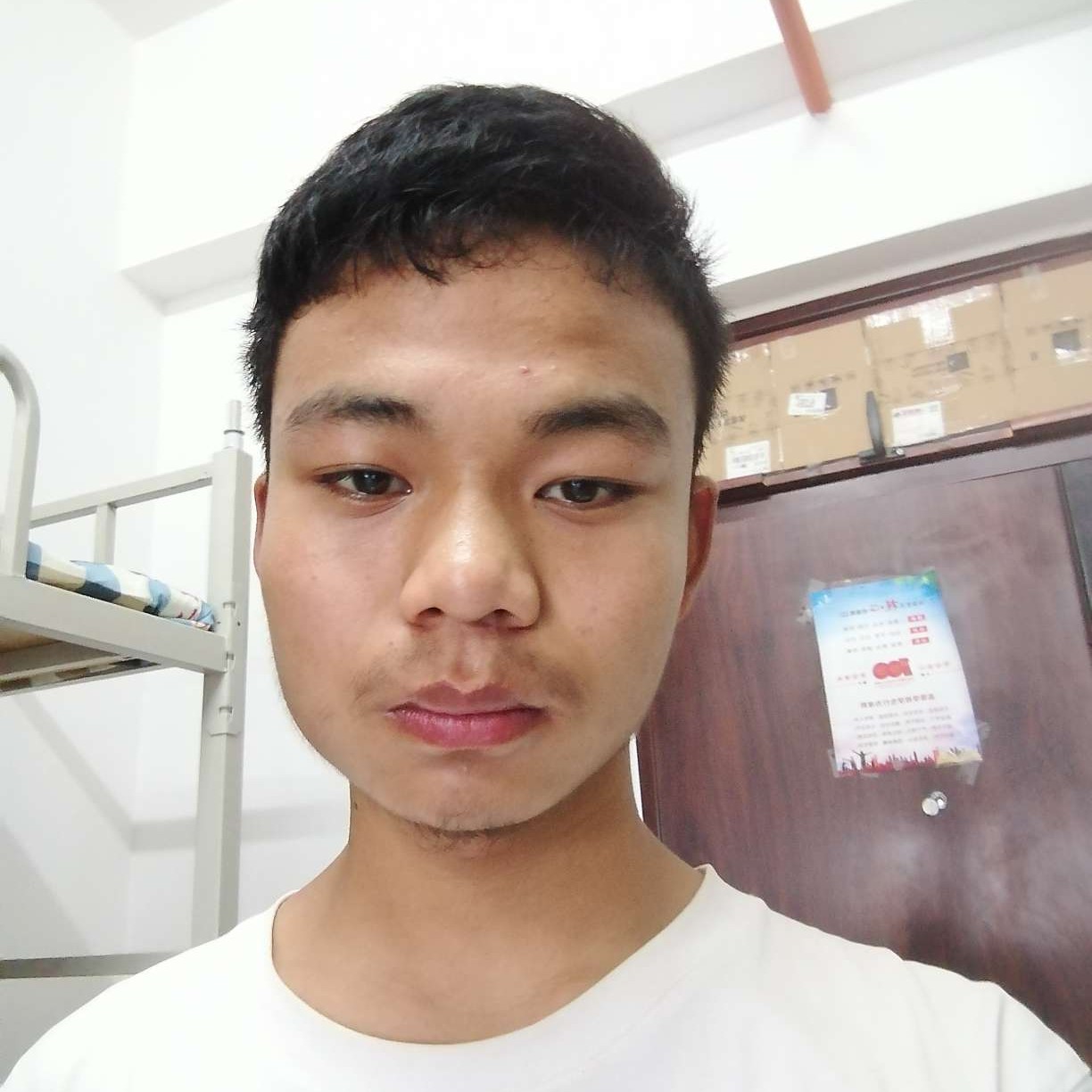 坚强邂逅如梦的照片
