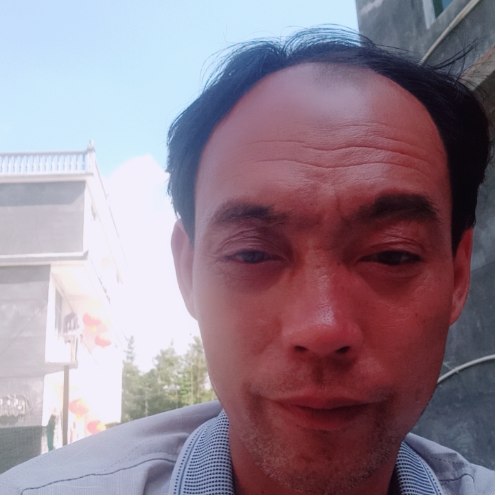 盼望演变悲凉的照片
