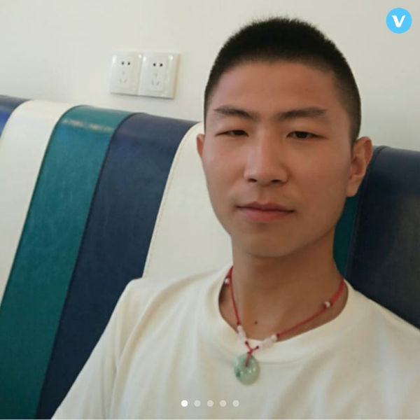 洞庭湖的老麻雀的照片