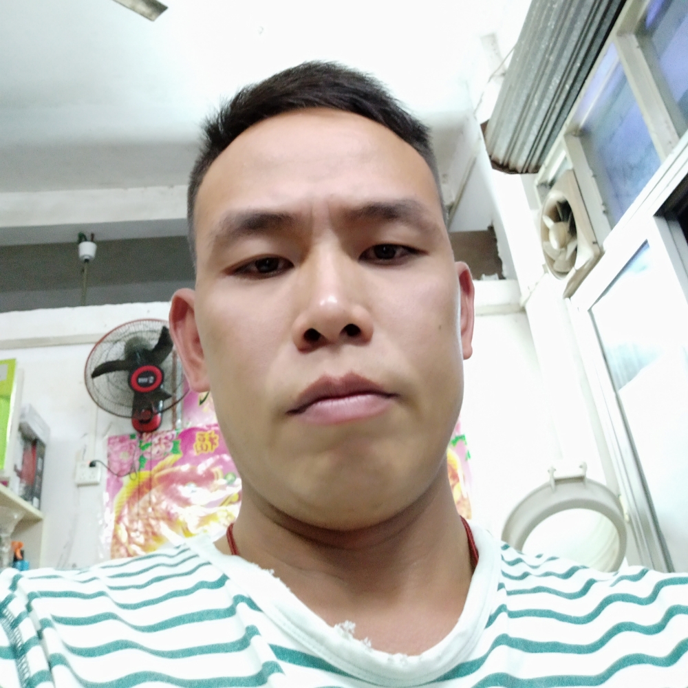飞鸟等于孝顺的照片