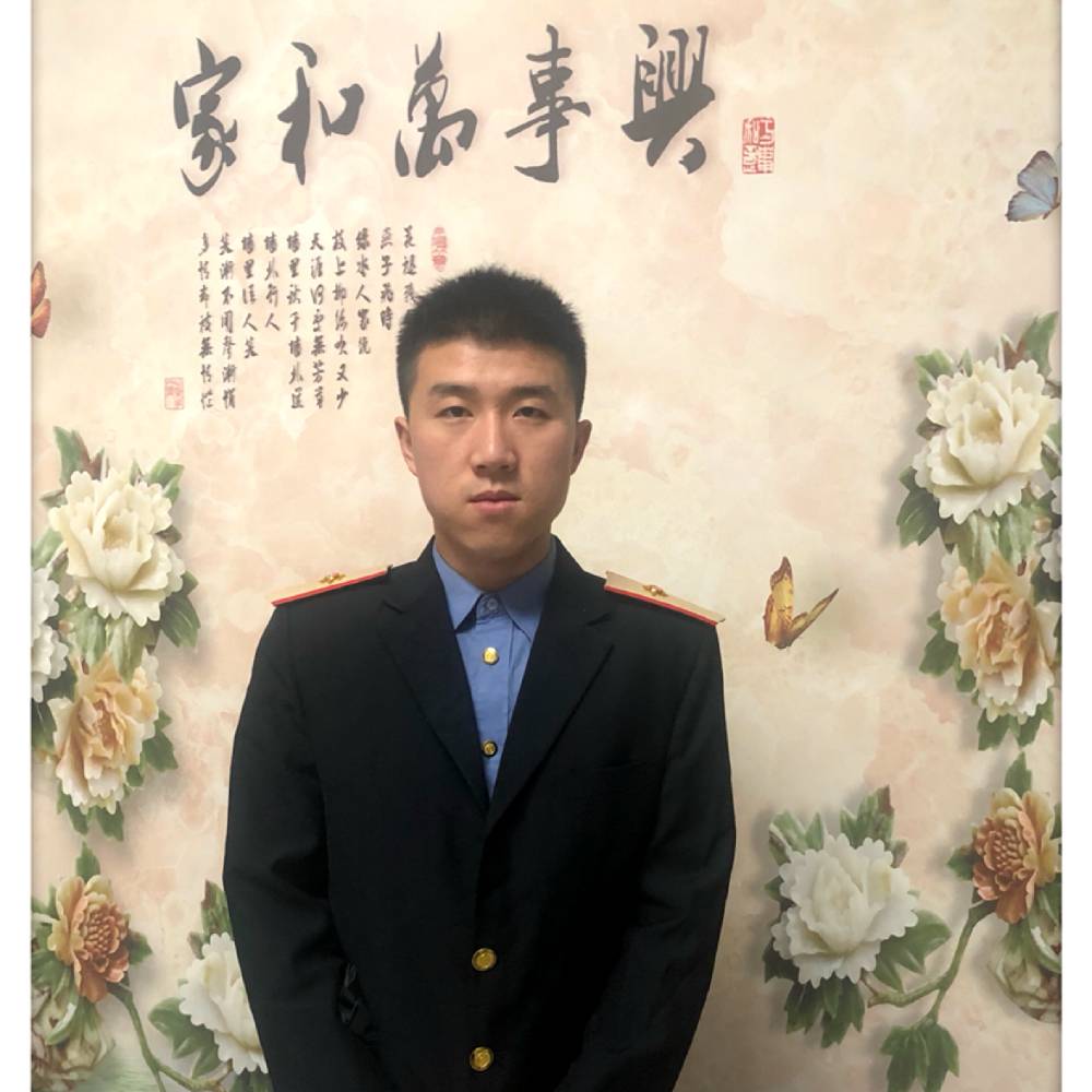 稳重保卫小海豚的照片