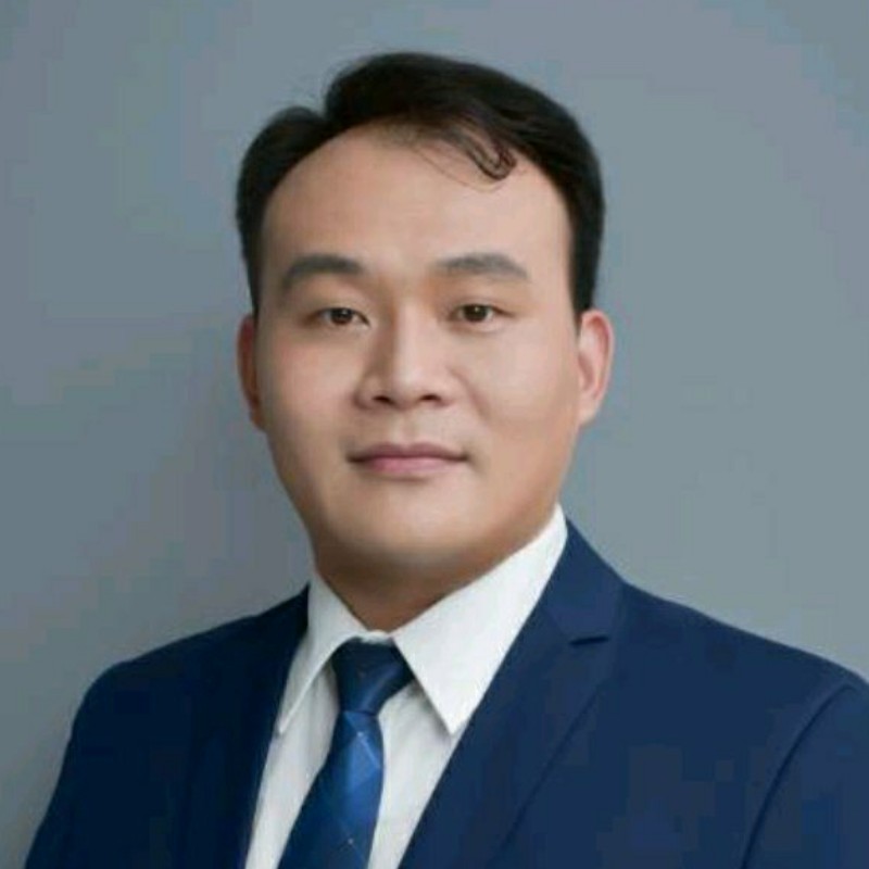 追寻向大树的照片