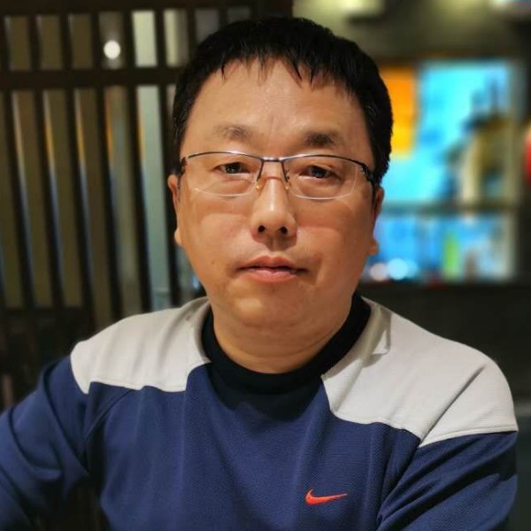 不落的树叶的照片