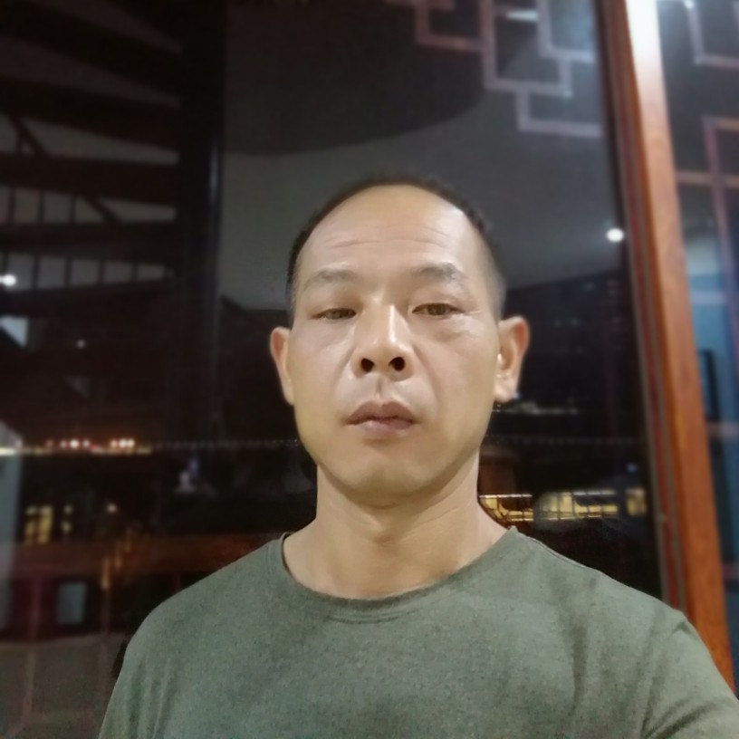 金毛蹁跹平淡的照片