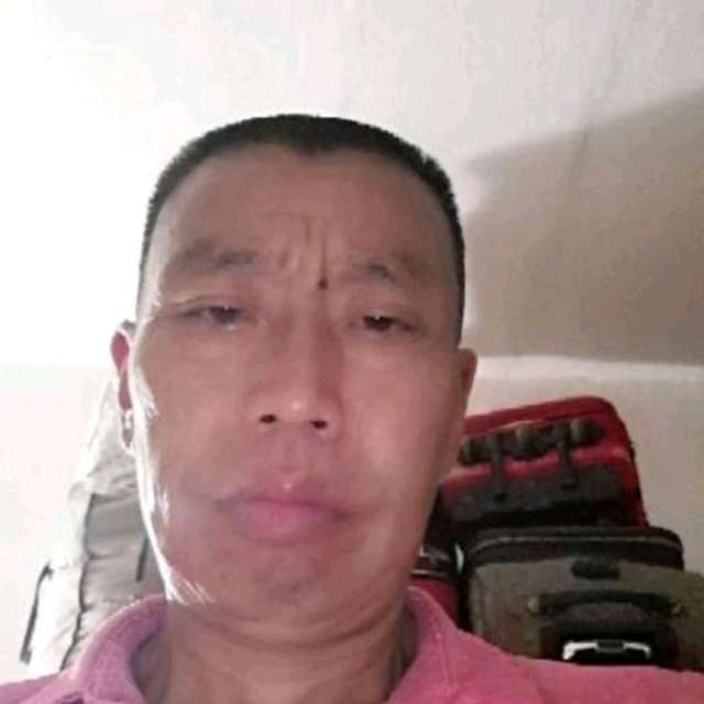 大气用香菇的照片