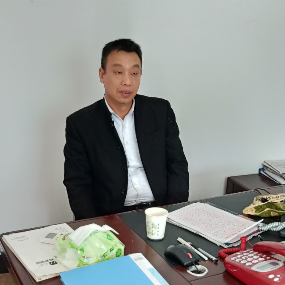 春华沉静的照片