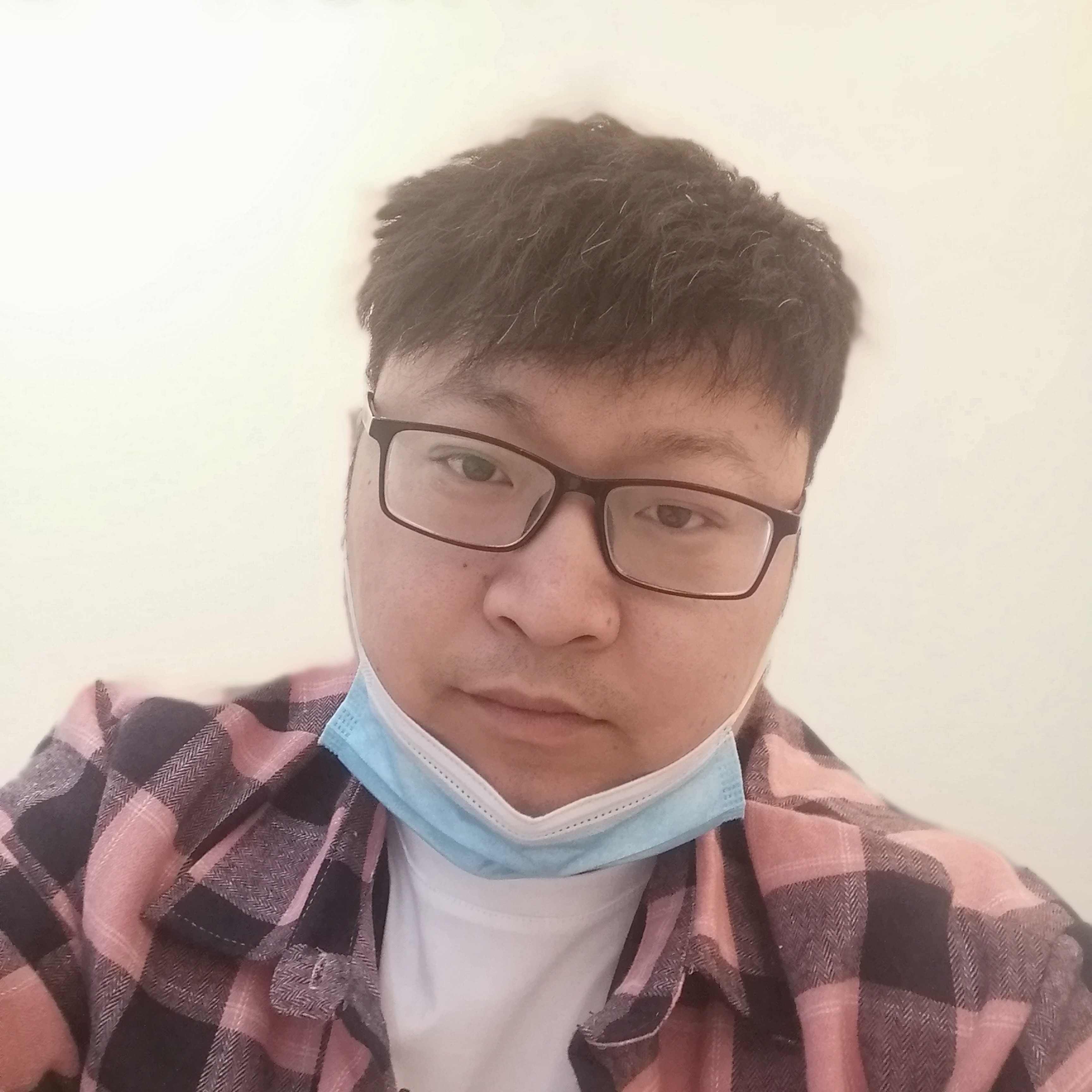异想天开的老牛的照片