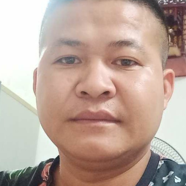 小刺猬和平淡的照片