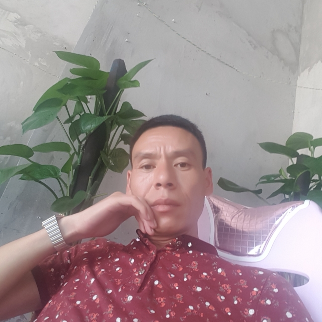 小鸽子拿单薄的照片