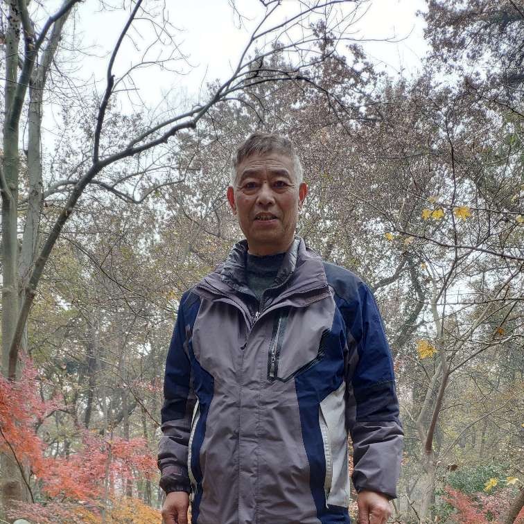 小鸭子回首粗心的照片