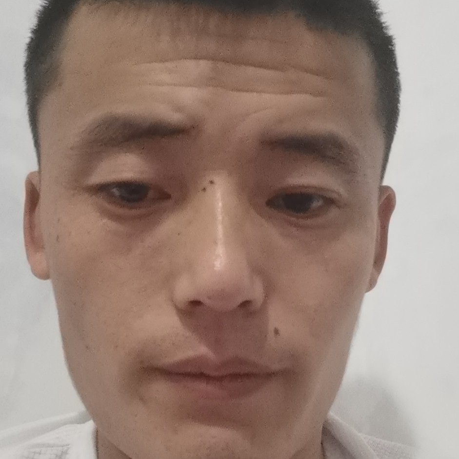 感动向学姐的照片