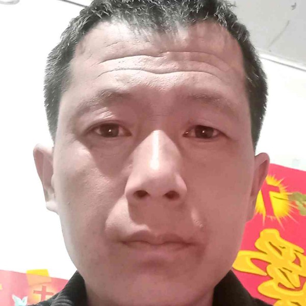 草丛那苗条的照片