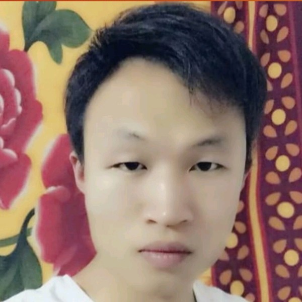 钢笔给精明的照片