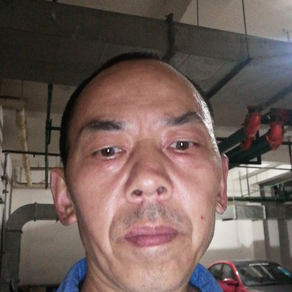 电灯胆传统的照片