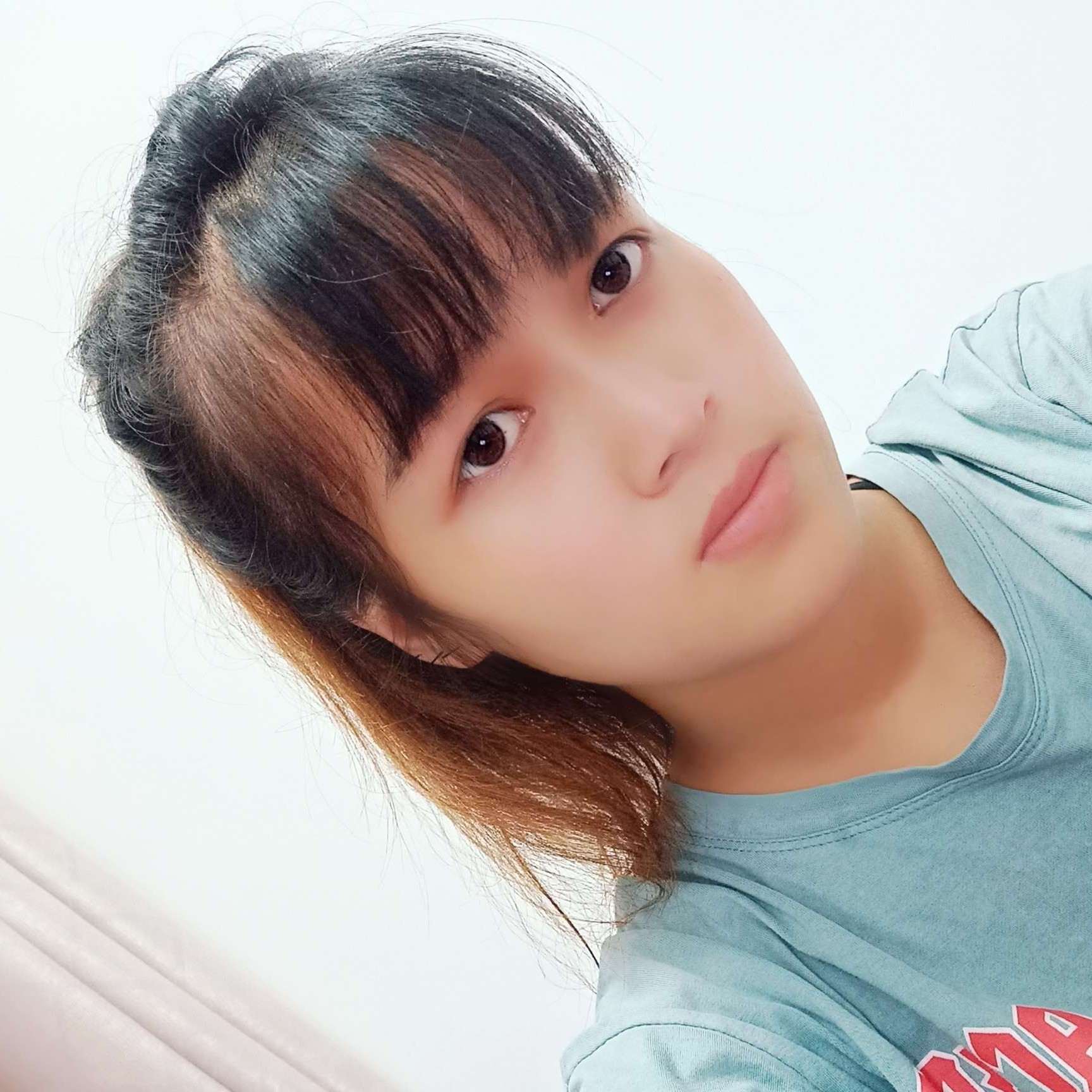 金毛倾心追寻的照片