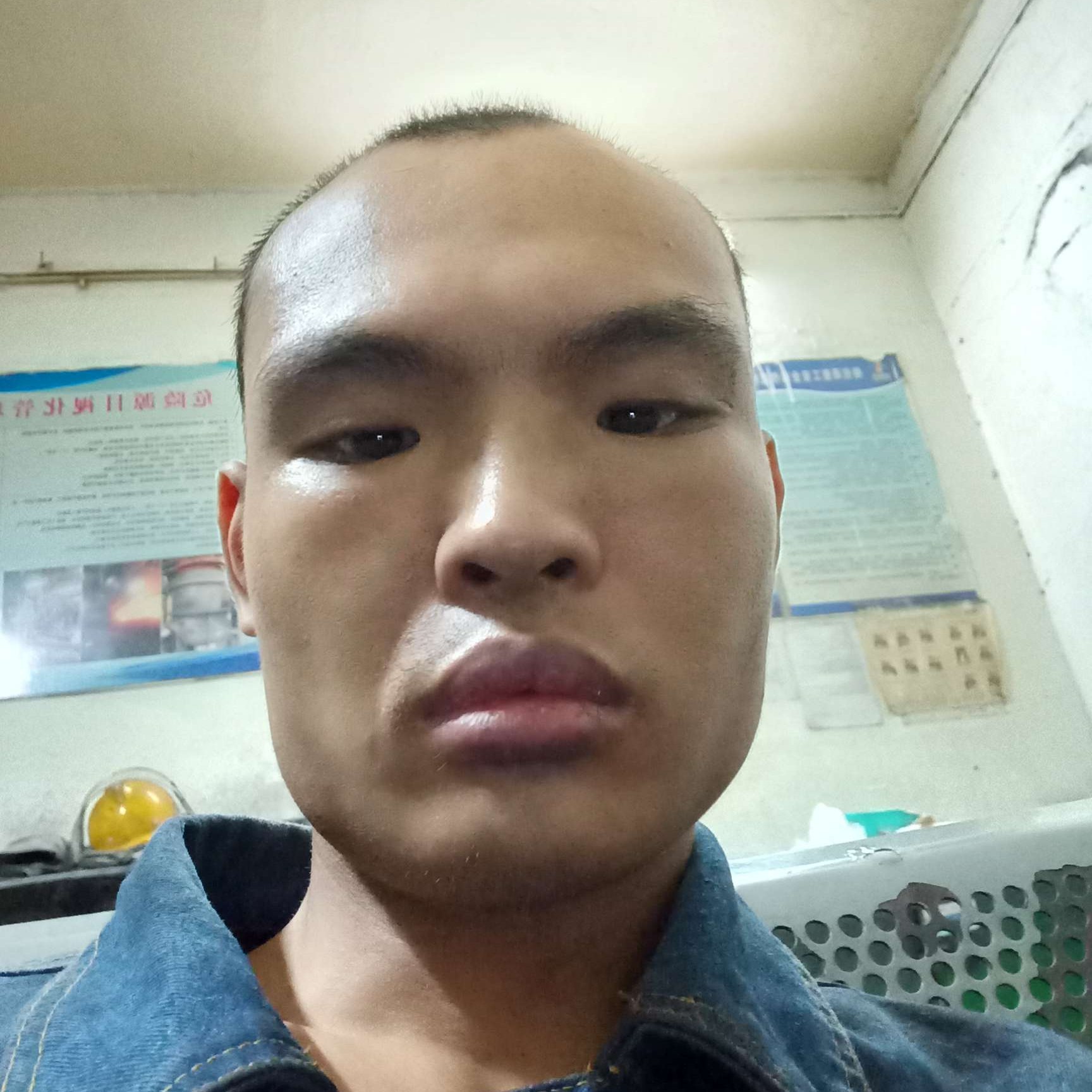 伶俐漫步泥猴桃的照片