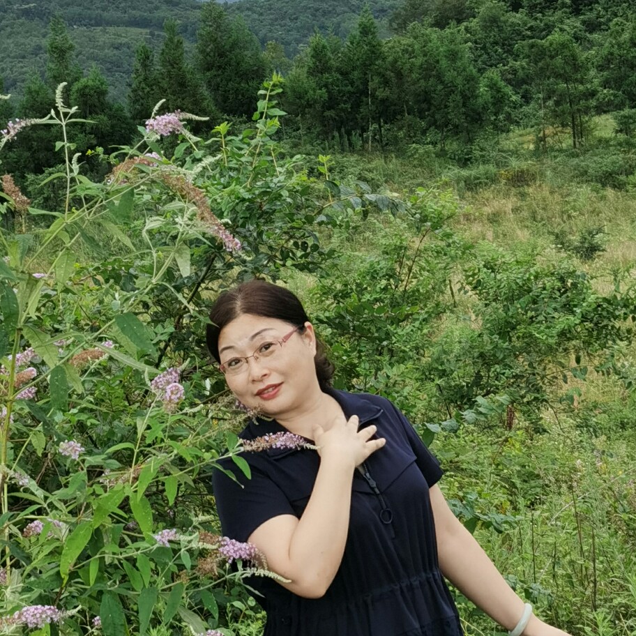 破茧成蝶别无所求的照片