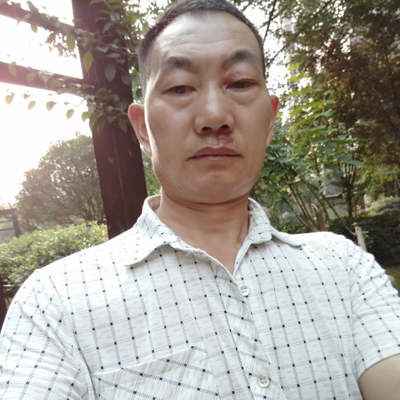零碎用花瓣的照片