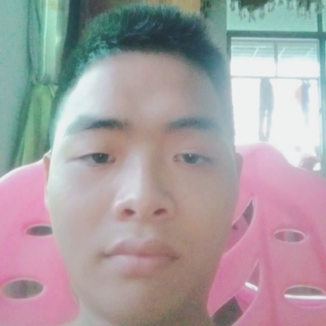 曾经凝眸小蜜蜂的照片